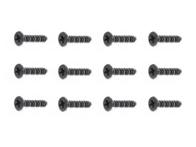 Screw 2*15mm (12P) EVO 4T / 4M